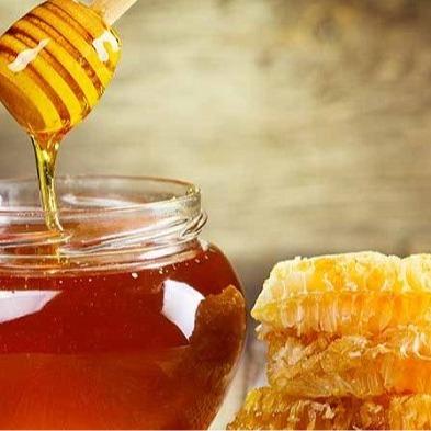 Madu Hutan Asli - 500ml (720g) Murni & Alami Syrup Memasak Makanan