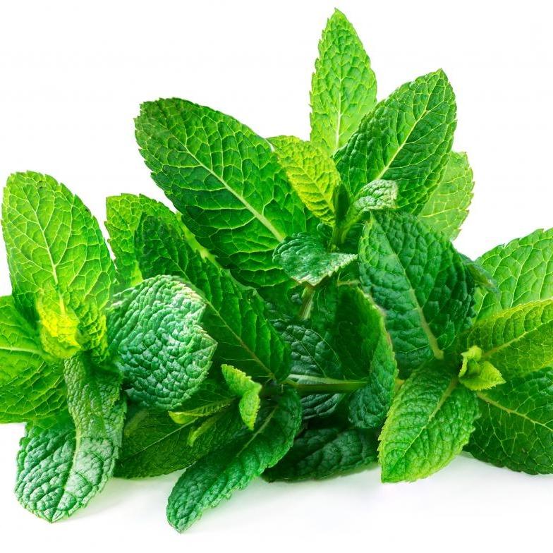 Teh AINNA Jahe Lemon, Cinnamon Ginger Spearmint