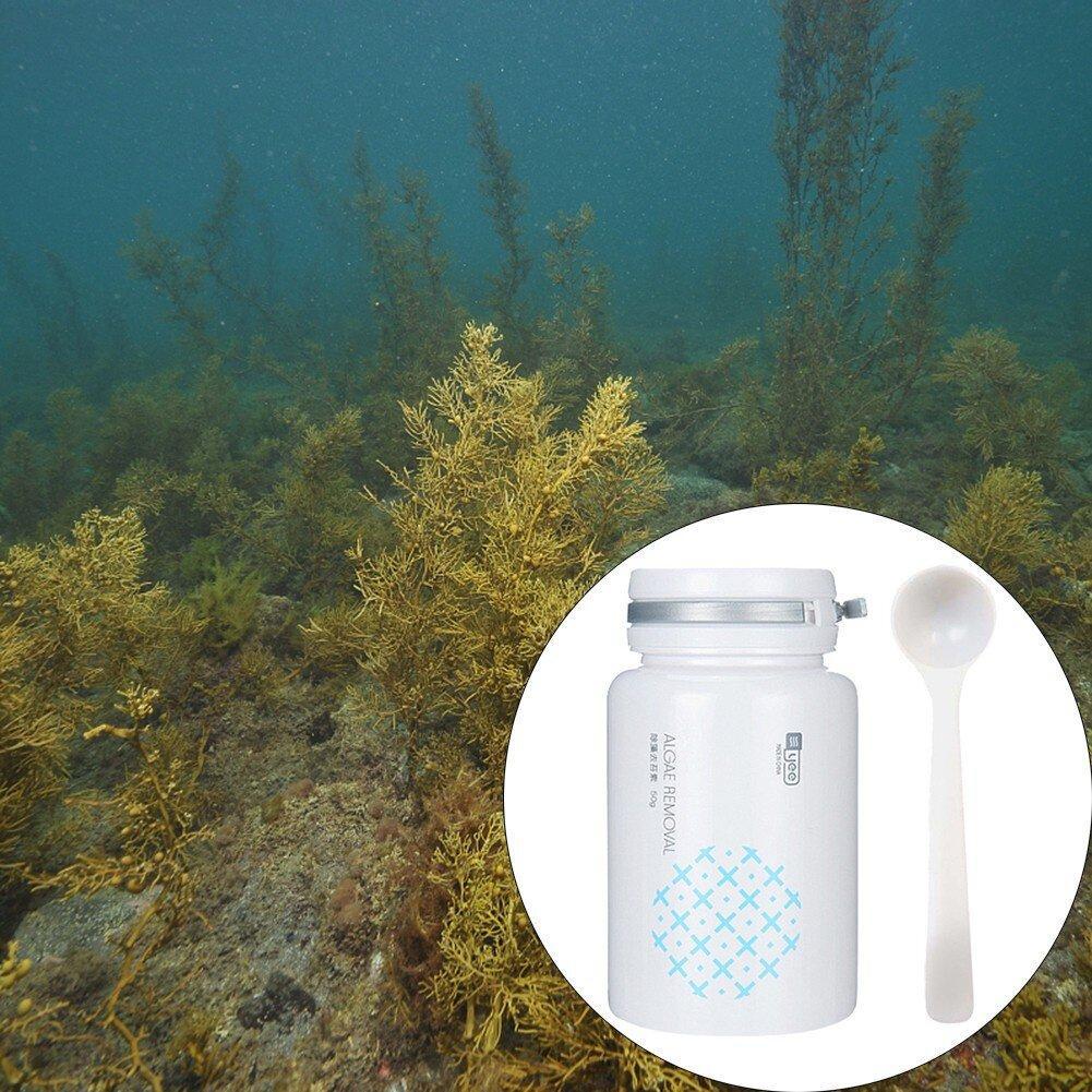 Bersihkan Alga Akuarium dengan Set Penyingkiran Lumut AINNA! - Ainna Store