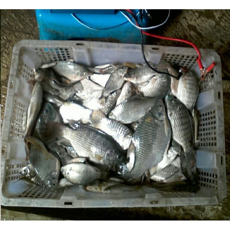 Tingkatkan permainan memancing anda dengan FLW-58000W Ultrasonic Electro Fisher dari AINNA! - Ainna Store