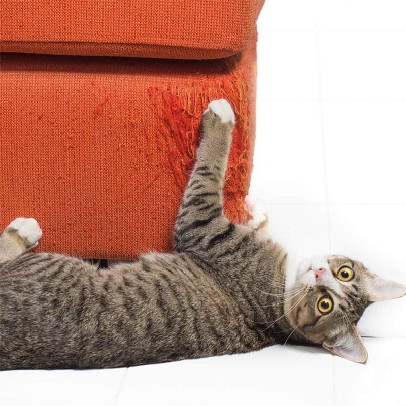 Jaga Hiasan Rumah Anda dengan AINNA Pet Cat Scratch Guard - Ainna Store