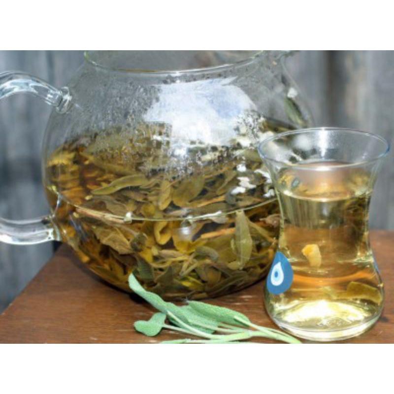 Teh AINNA Daun Sage Organik untuk Wanita PCOS - Ainna Store