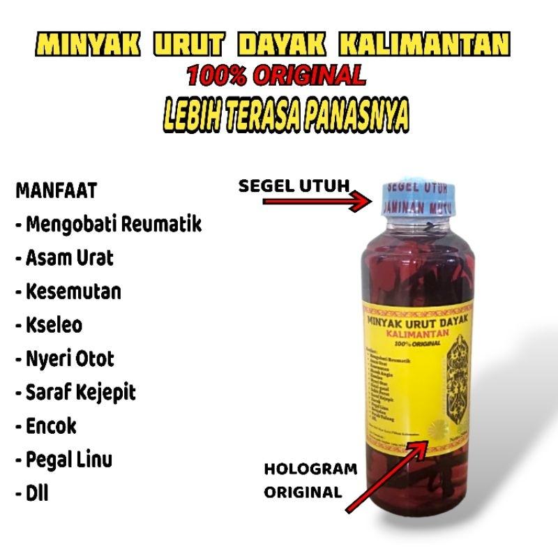 Minyak Urut Dayak Kalimantan AINNA Borneo 100% Asli 250ml