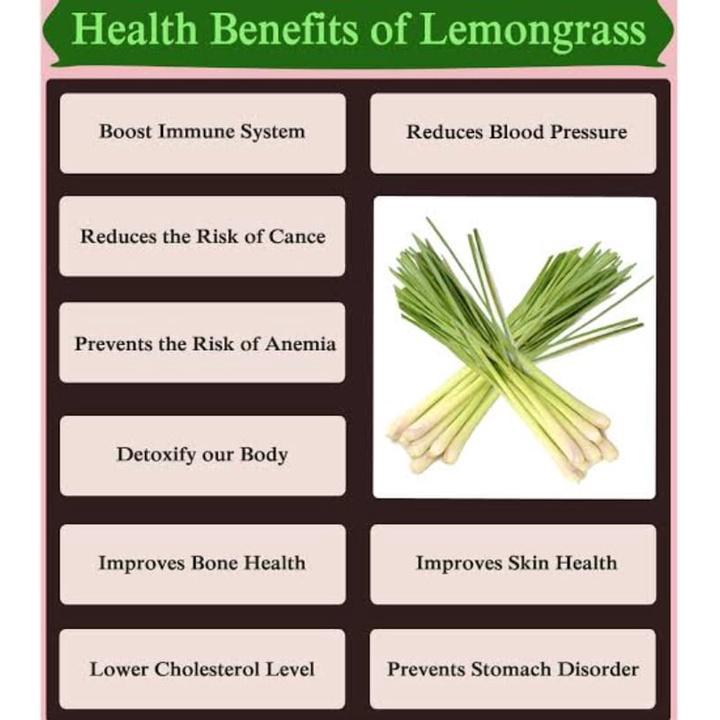 Teh AINNA ELIF TEA Spearmint Lemongrass : Teh Daun Pudina dengan Serai 30 Beg Teh PCOS Semulajadi - Ainna Store