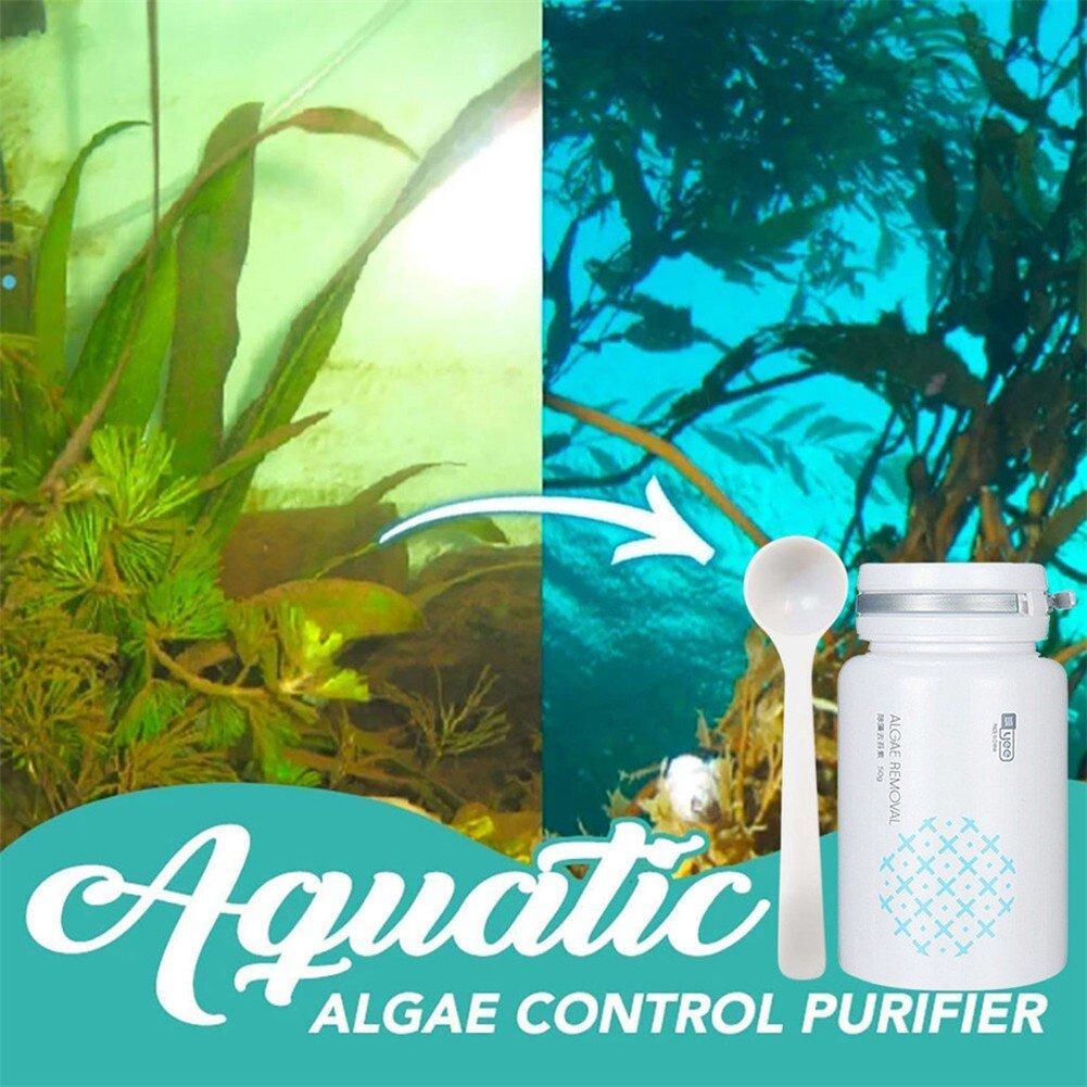 Bersihkan Alga Akuarium dengan Set Penyingkiran Lumut AINNA! - Ainna Store