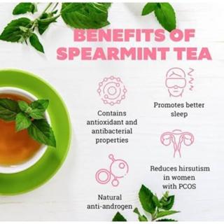Teh AINNA Jahe Lemon, Cinnamon Ginger Spearmint