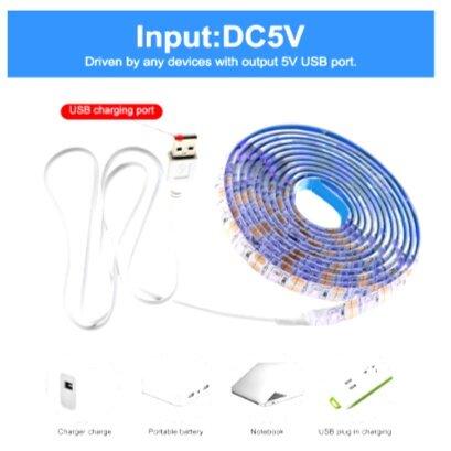 AINNA UV LED Strip Light 5V DC 2835 0.5M 1M 2M Waterproof Purple Ribbon Ultraviolet USB Rope Tape f DJ Fluescence Home Lighting - Ainna Store