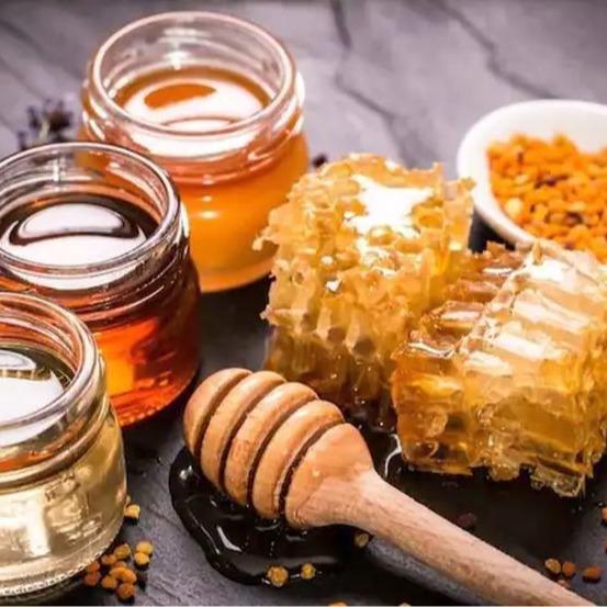 Madu Hutan Asli - 500ml (720g) Murni & Alami Syrup Memasak Makanan