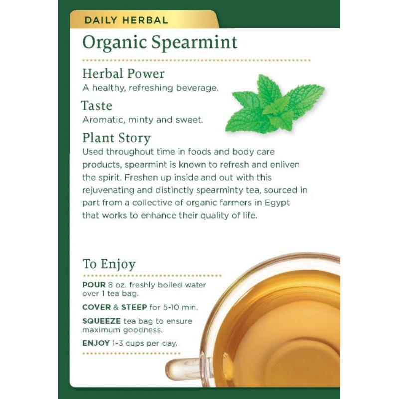 Teh AINNA Kering Organik Daun Spearmint PCOS - 50 Gram -x1