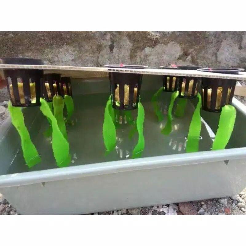 10 PCS Sumbu Hidroponik AINNA Kain Flanel - Felt Sheet Hydroponic Netpot - Ainna Store