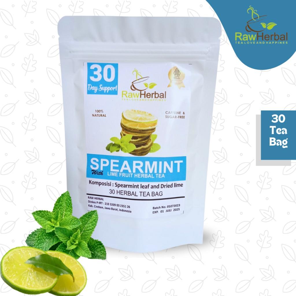 Spearmint Leaf Tea - 30 Tea Bags Included Organic Sugar Free Low Sugar Low Fat Natural Dairy Free Fruity - Ainna Store